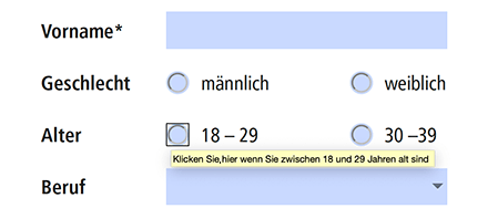 Alternative Beschreibungstexte bei Formularfeldern werden im PDF als Tooltipps eingeblendet