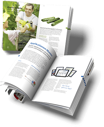 Doppelseite einer Broschüre des Europabüros der Stadt Nürnberg