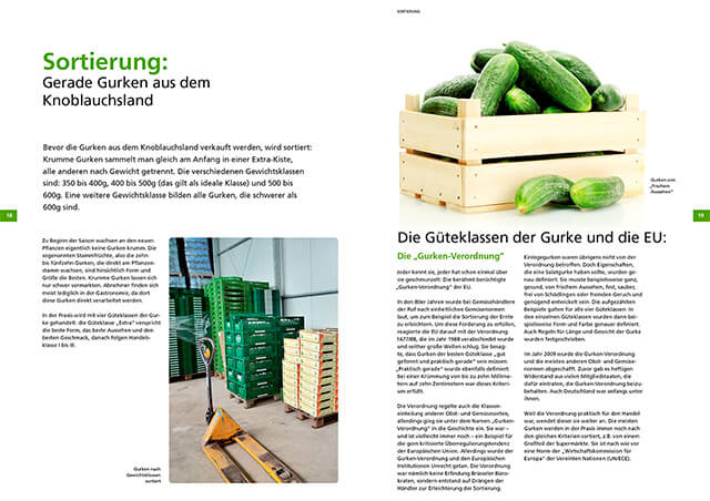 Doppelseite einer Infobroschüre