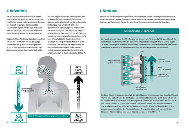 Doppelseite einer Infobroschüre