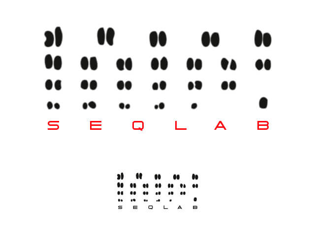 Seqlab – Logo-Entwurf Variante 2 (Chromosomen-Motiv)