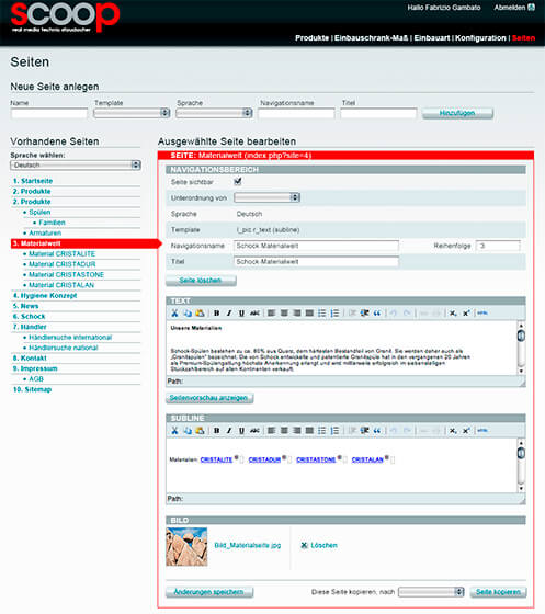 Screendesign-Entwurf für ein firmeneigenes CMS-System